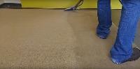 Dynamik Carpet Cleaning image 3